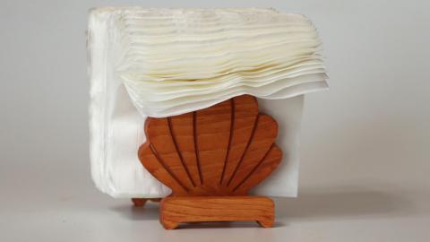 Napkin holder with napkins